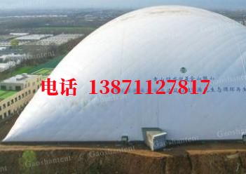 谢家集气膜棚卷帘门,电动门